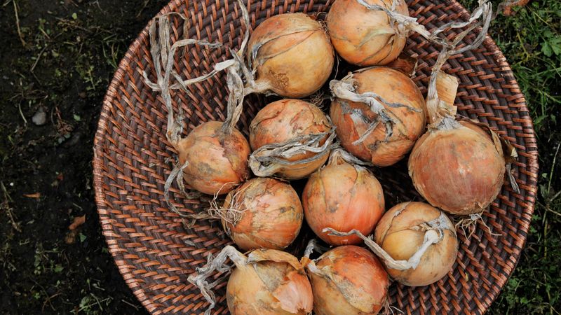 Onions