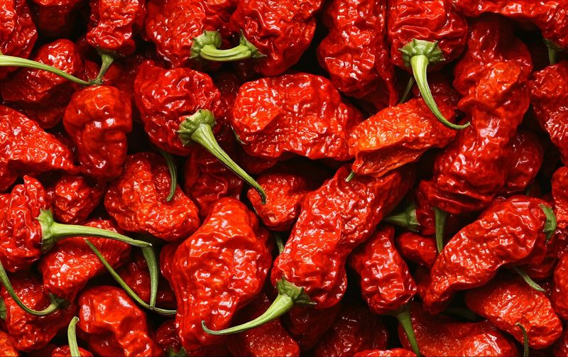 Carolina Reaper: The One That Probably Is Not Worth It