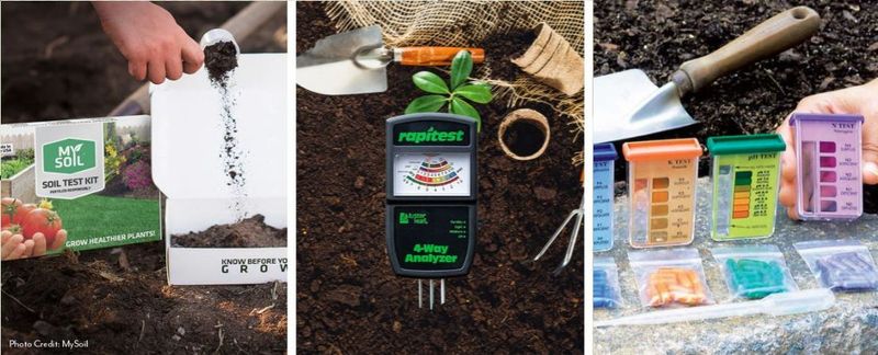 Use a soil test before reaching for a rescue nutrient
