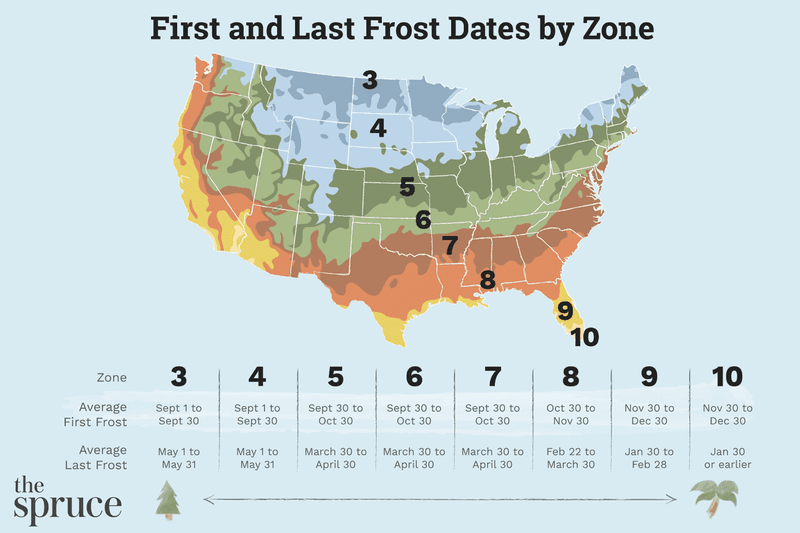 Count Backward From Your First Frost Date