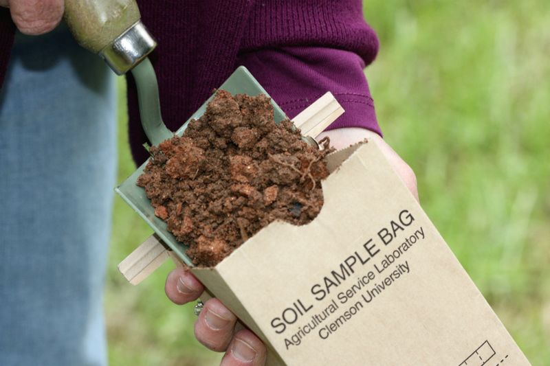 Use soil testing to guide corrective feeding