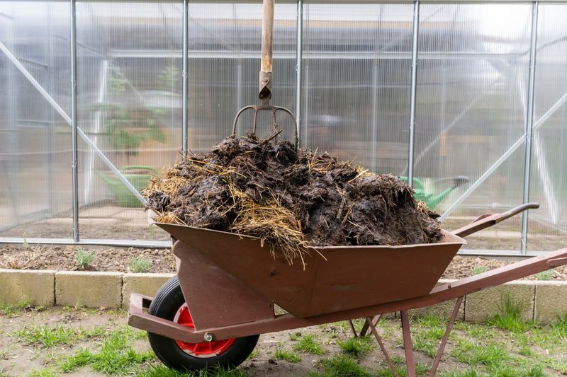 Composted Manure