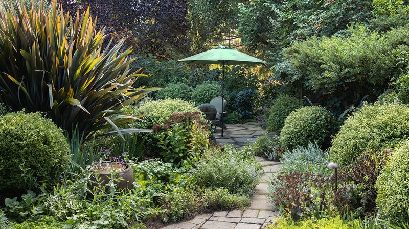 Offer Afternoon Shade in Hot Climates