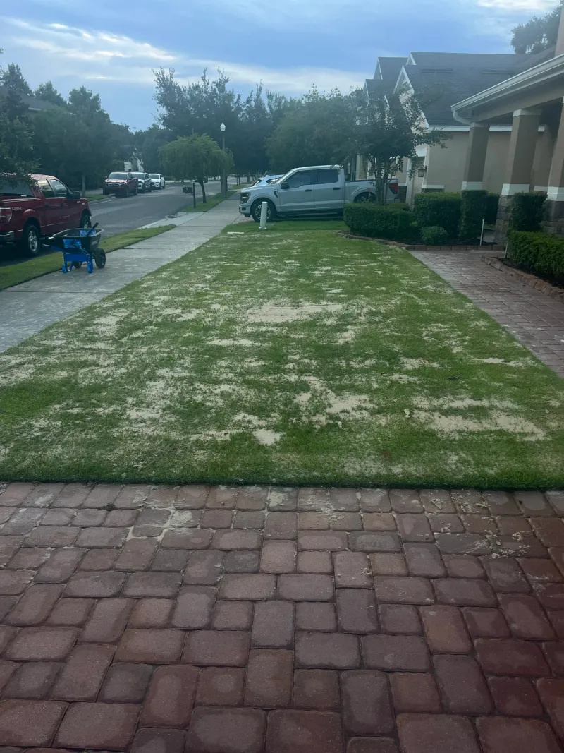 Topdressing can fill shallow depressions gradually