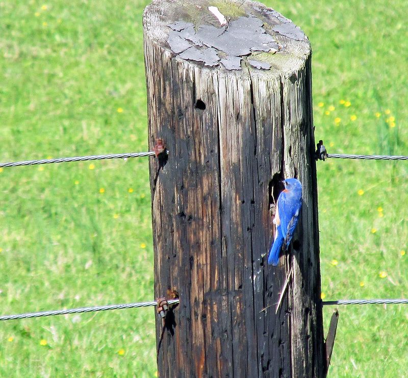 Treat the post as an invitation to look closer