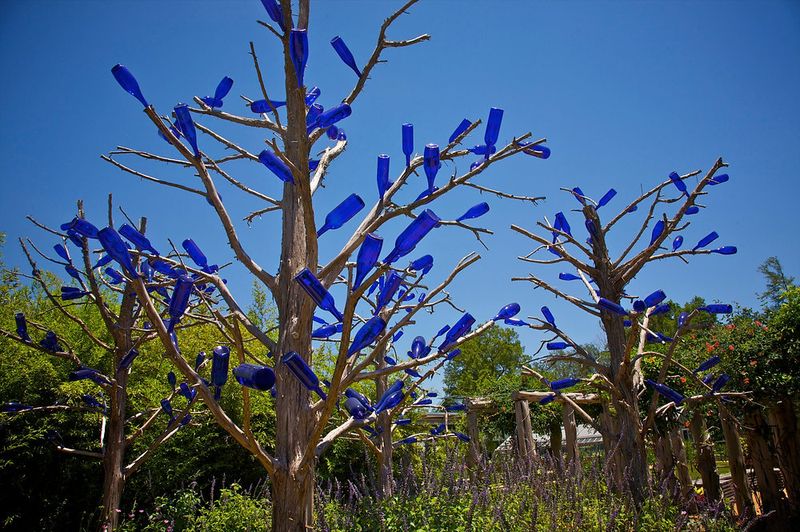 Cultural histories connect bottle trees to Kongo traditions