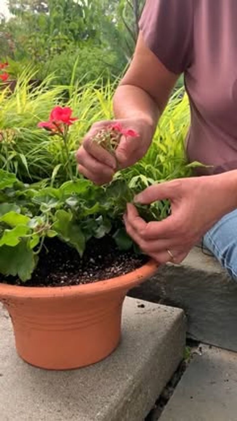 Deadheading Is Not a Hard Cutback