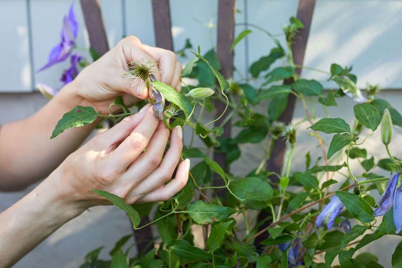 Skipping the Deadheading