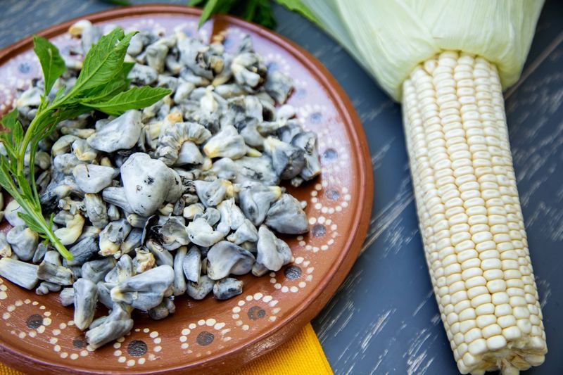 Huitlacoche (Corn Smut Fungus)