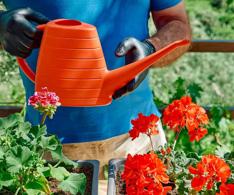 Feed With a Bloom-Boosting Phosphorus Fertilizer