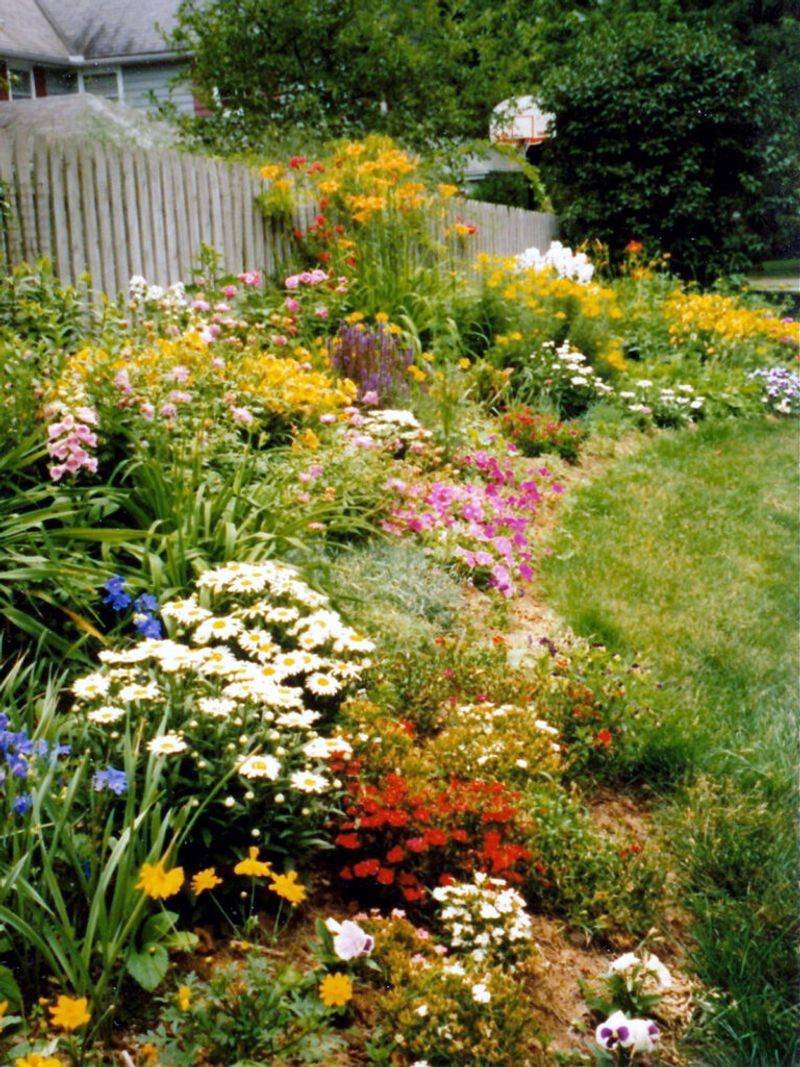 A firefly patch can coexist with a working backyard