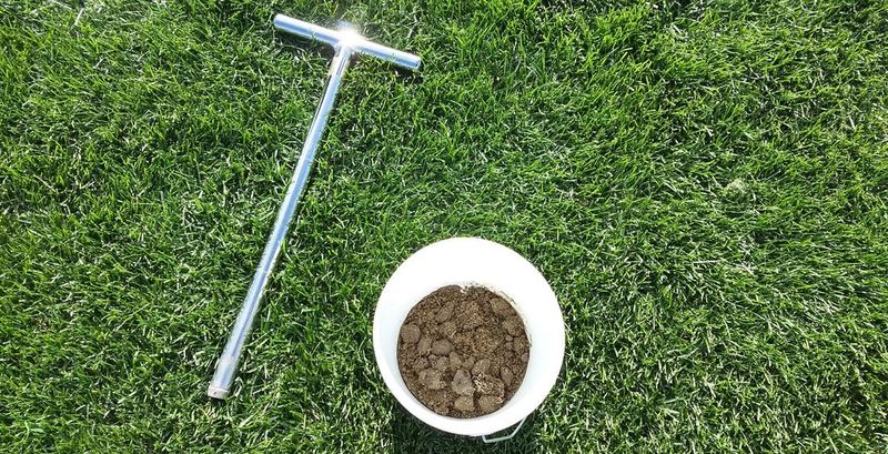 Use a soil test before changing fertilizer