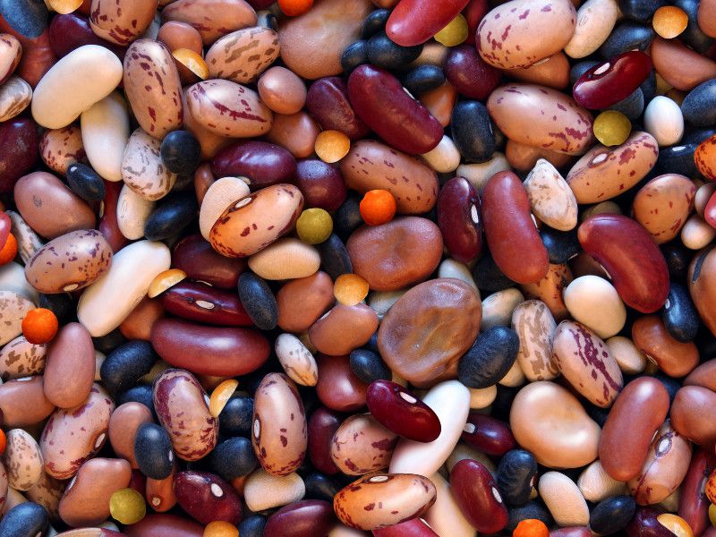 Dried beans and lentils