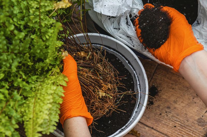 Rehydrate a basket that has gone bone-dry