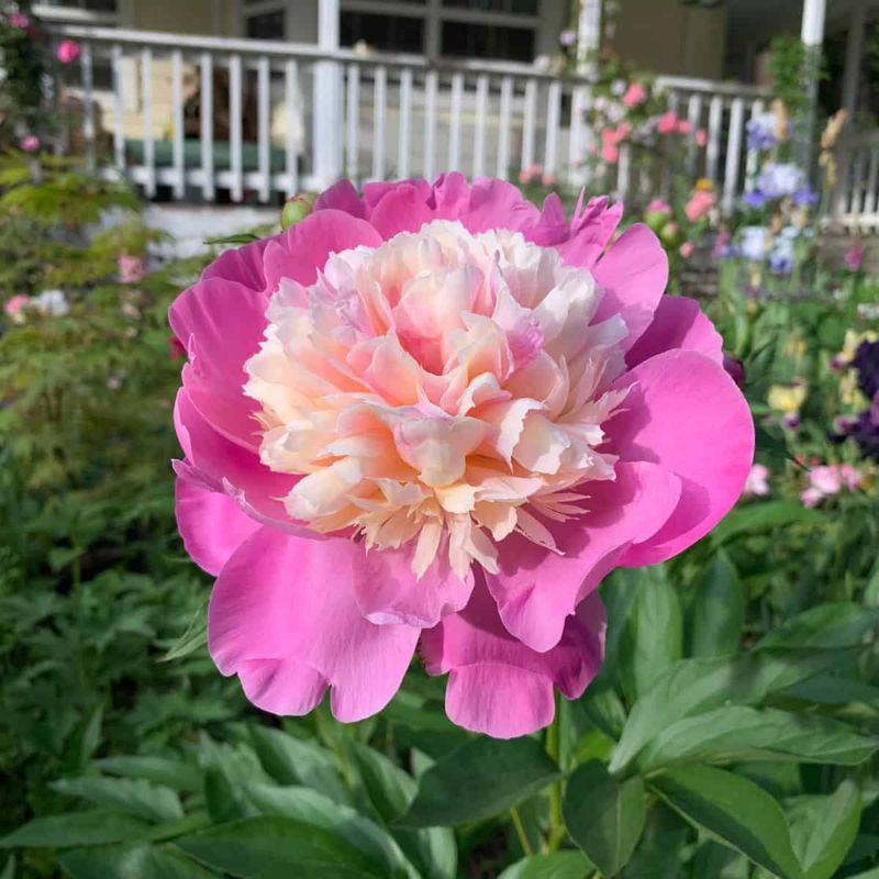 Check Your Planting Depth