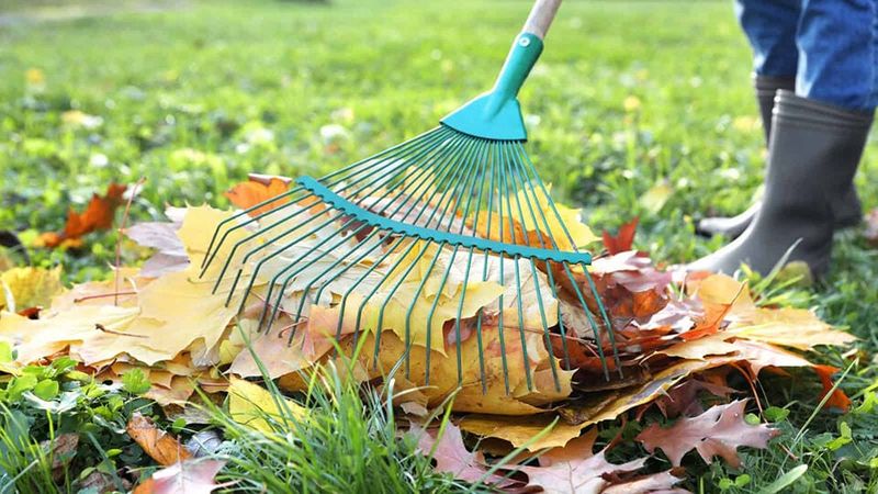 Leaf litter belongs away from busy borders