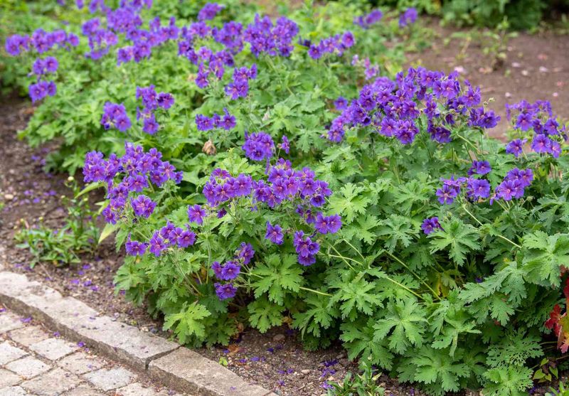 Fertilize Thoughtfully
