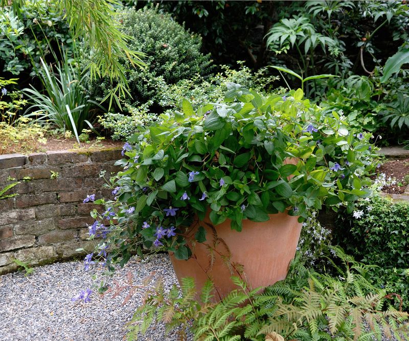 Make next season’s feeding decision plant by plant