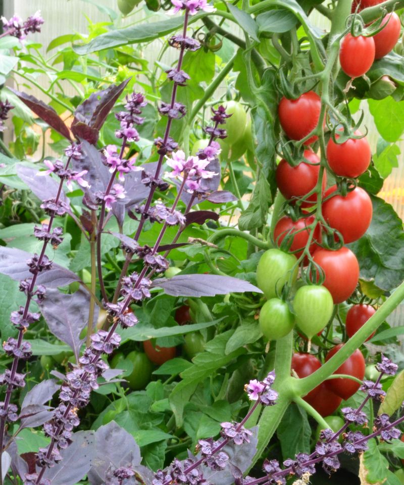 Why Backyard Results Can Vary