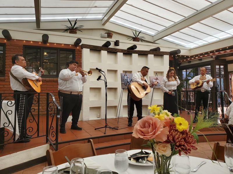 Mariachis, Milestones, and Planning Your Visit