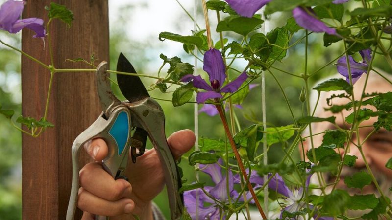 Pruning the Wrong Group at the Wrong Time