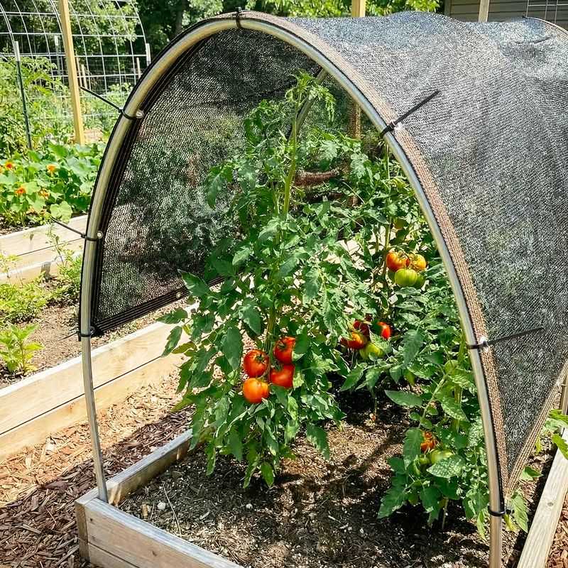 Provide Temporary Shade During Extreme Heat
