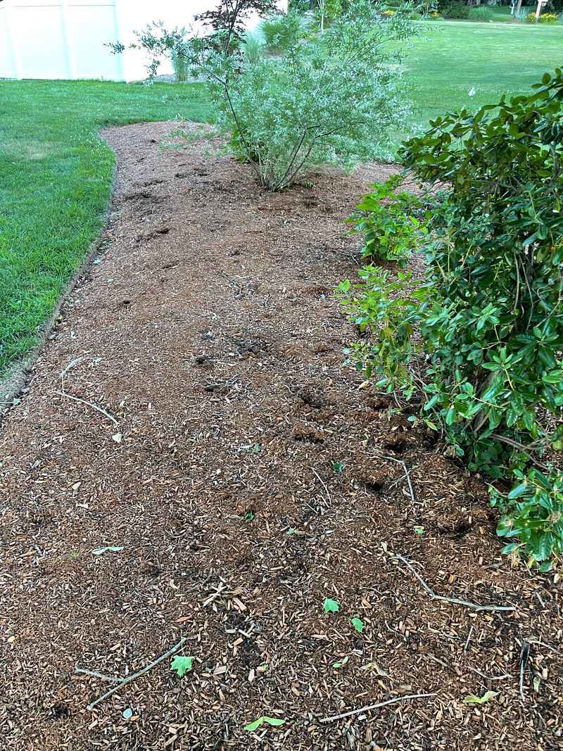 Odd Channels in Soil or Mulch