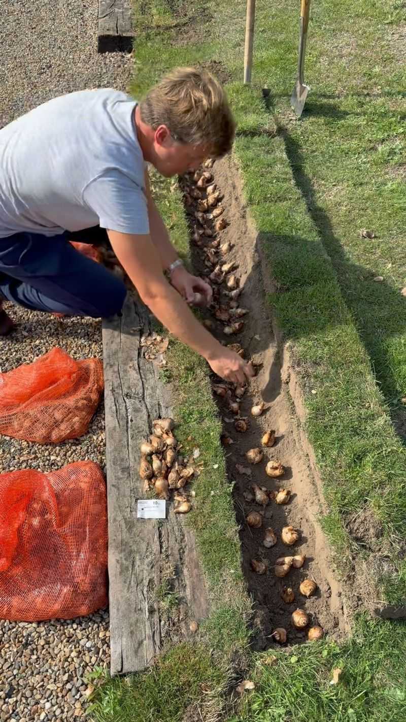 Planting depth is a guide, not a magic number