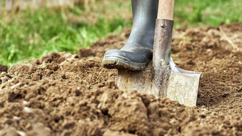 Improve Your Soil Drainage