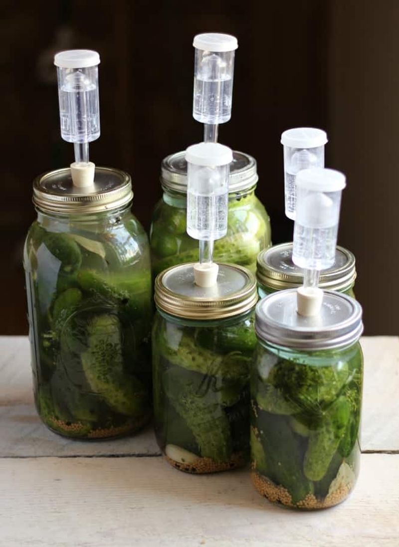 Pickles (true fermented pickles)