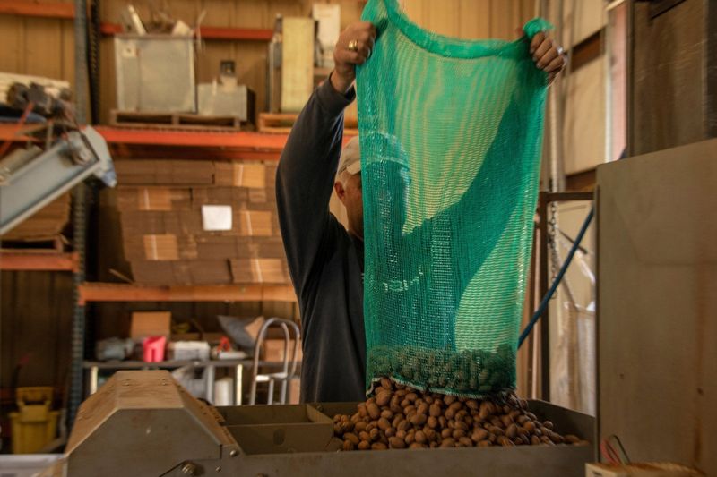 Dry pecans before storing them