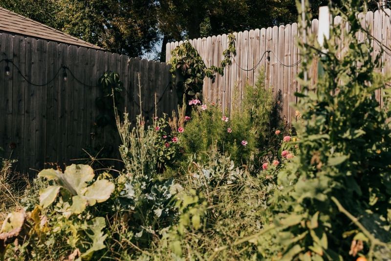 A tidy porch does not require stripping the yard