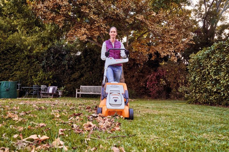 Start before fallen leaves form a thick mat
