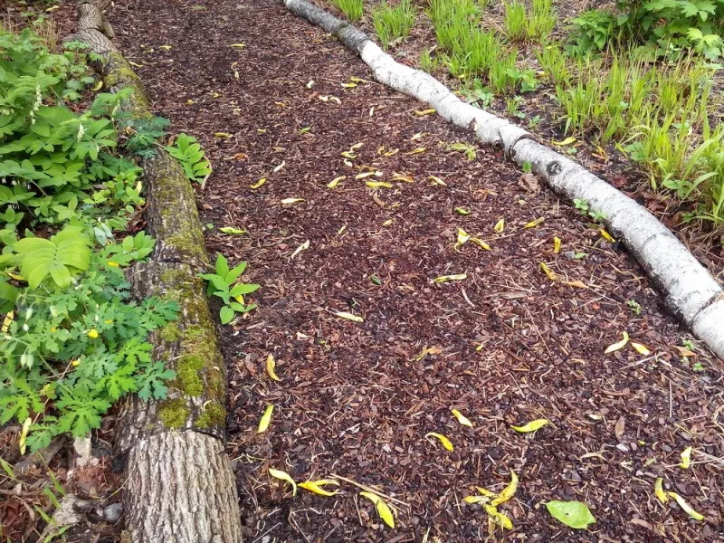 Neither mulch material keeps ticks out by itself