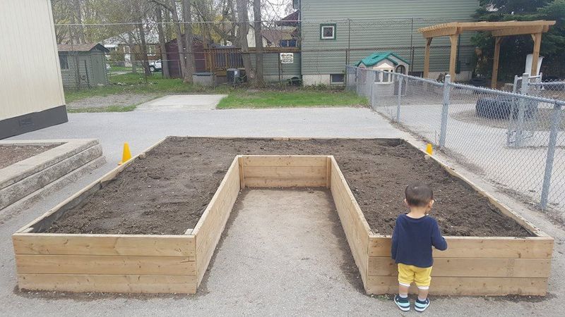 Use a root barrier if you cannot move the bed