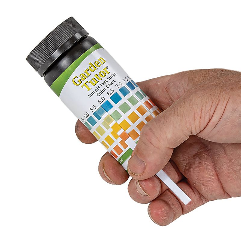 Test Your Soil pH