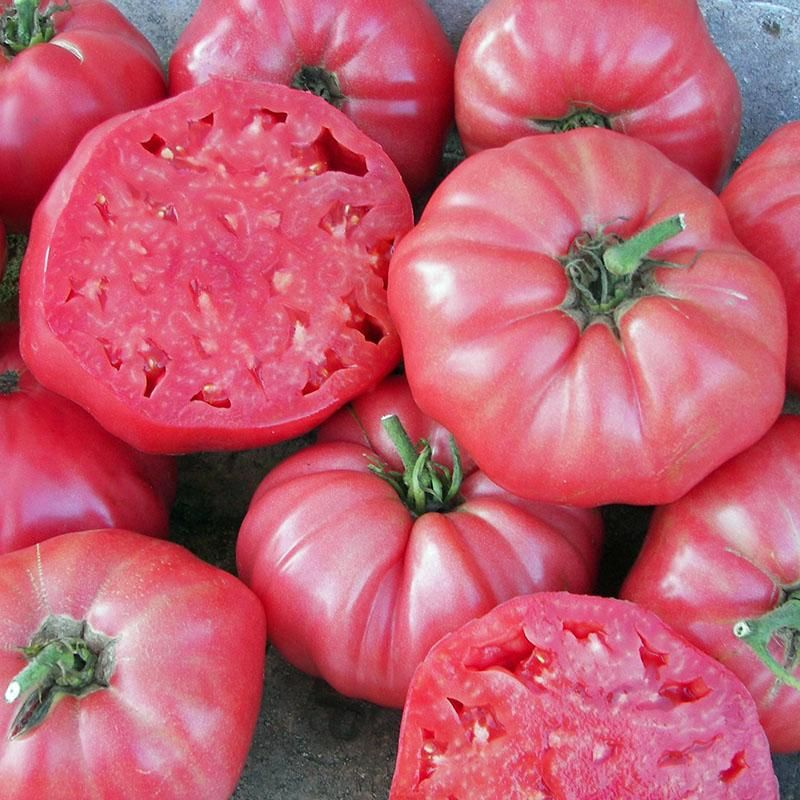 Brandywine (Heirloom)