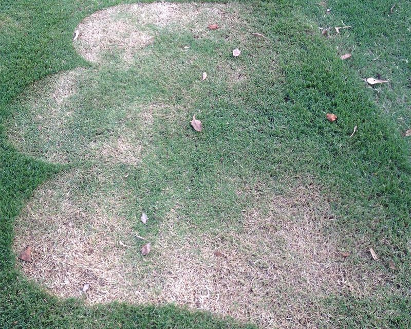 Mowing Is Tricky and You Keep Scalping
