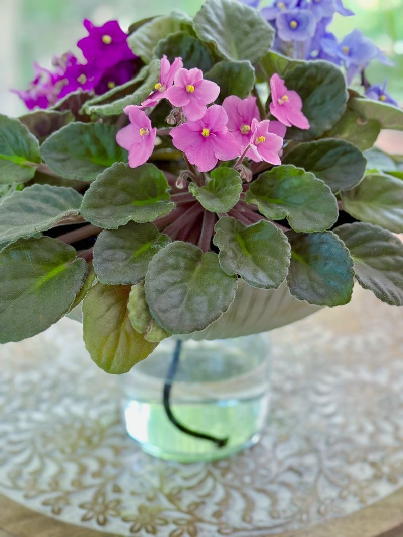 Watering on Autopilot