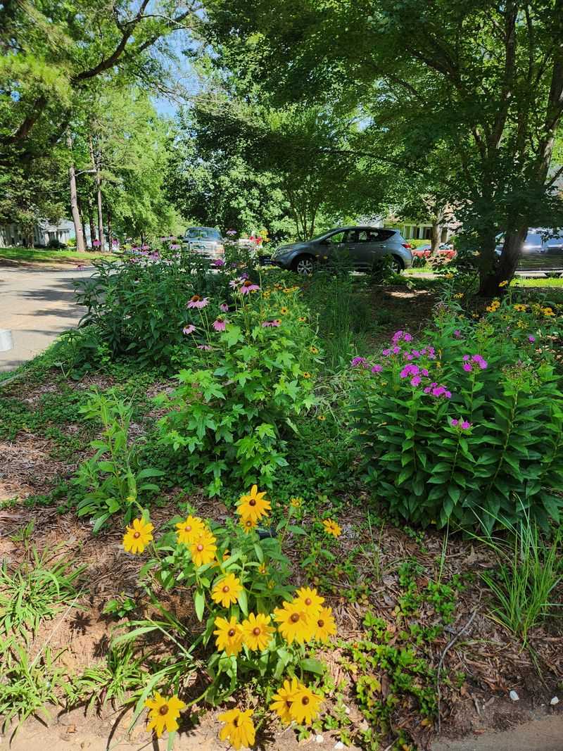 Check the rule before you replant