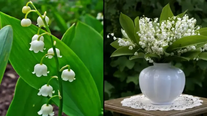 Keep plant parts and vase water out of reach