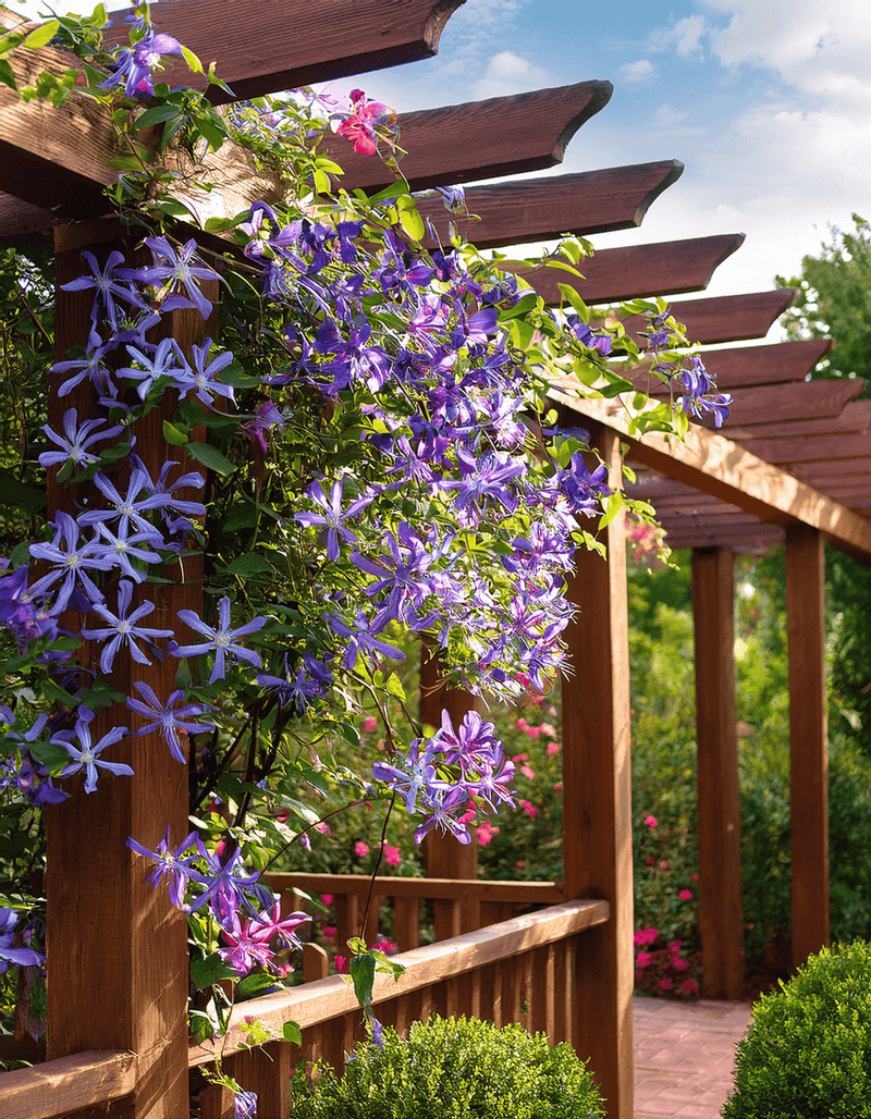 Ensure Adequate Sunlight Exposure