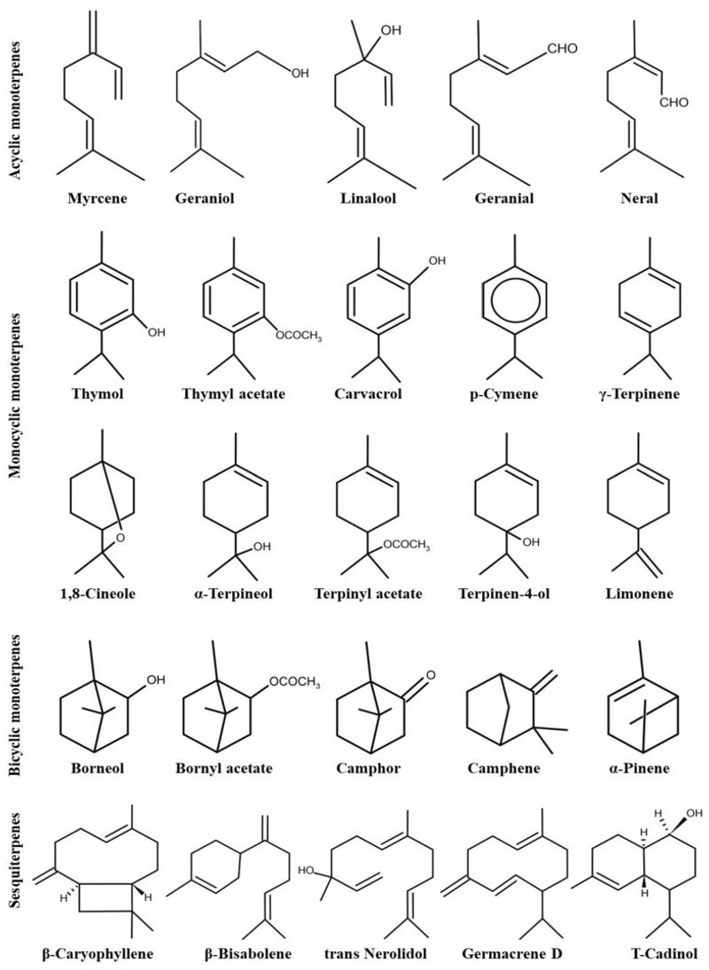 A plant’s oil profile can change