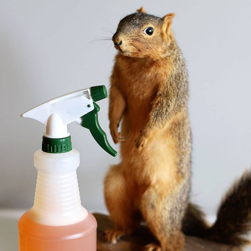Eucalyptus Oil