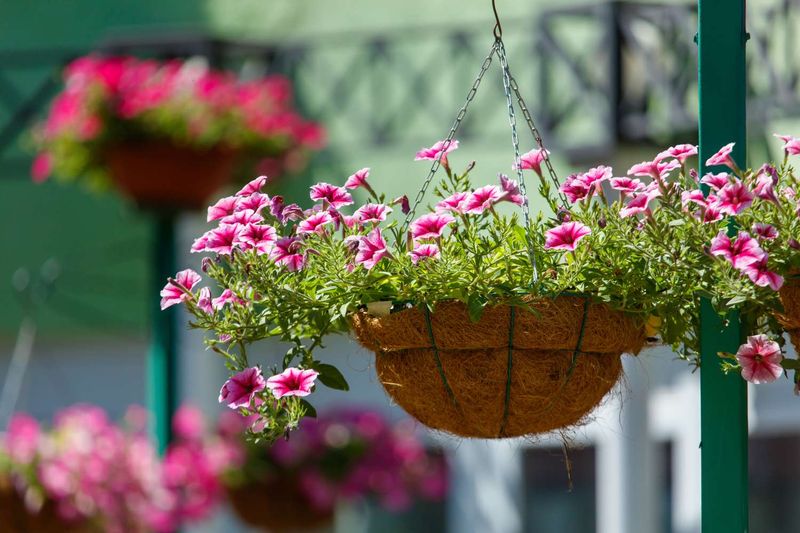 Try the Double-Watering Trick