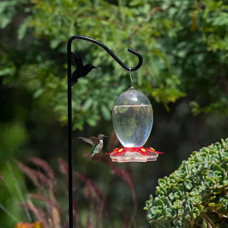 Give hummingbirds cover without giving predators concealment