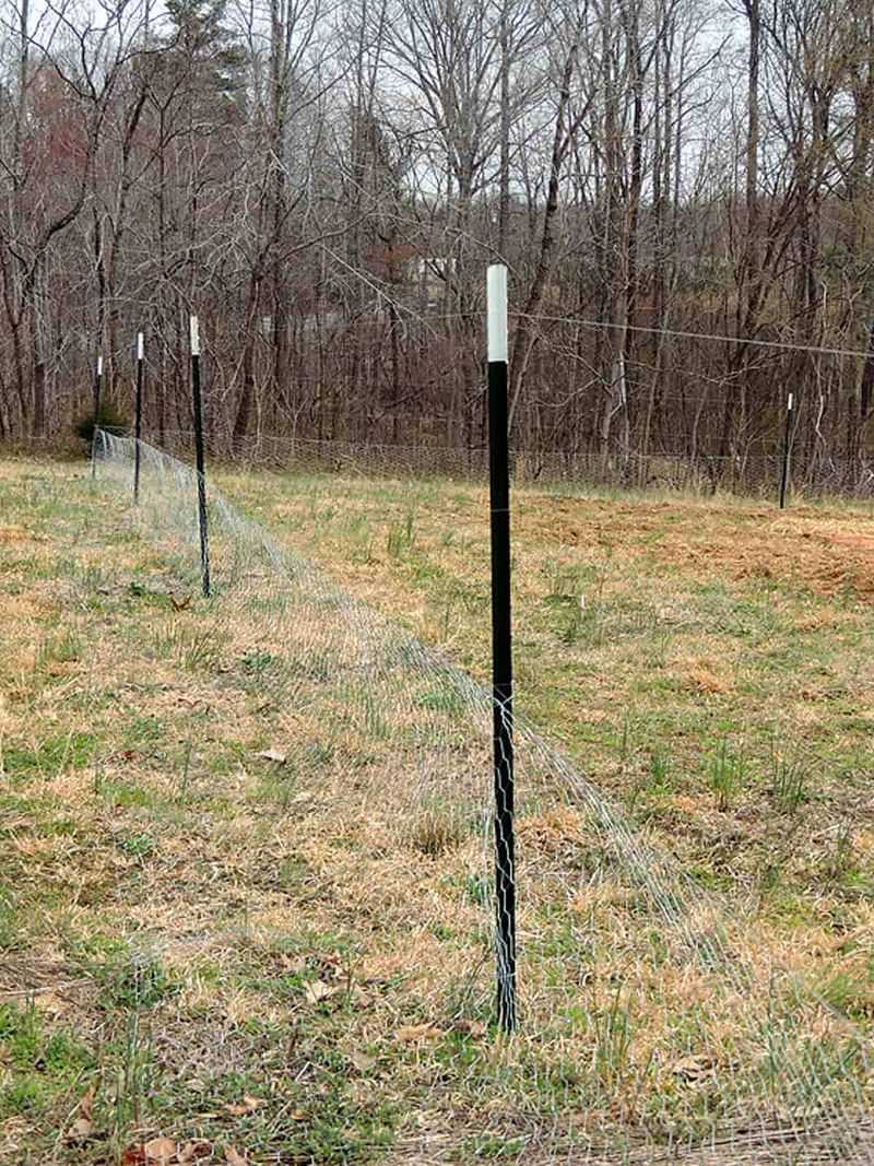 String Up Fishing Line at Deer Height