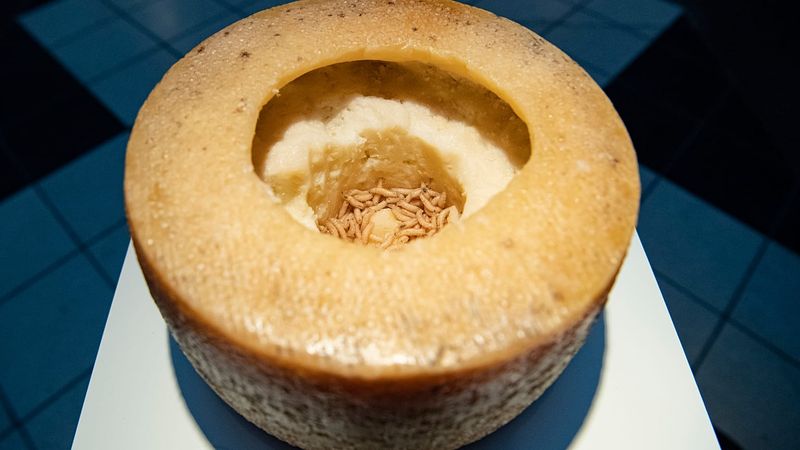 Casu Marzu (Maggot Cheese)