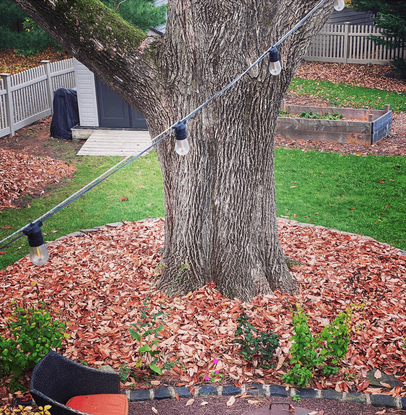Use a zoned fall cleanup plan