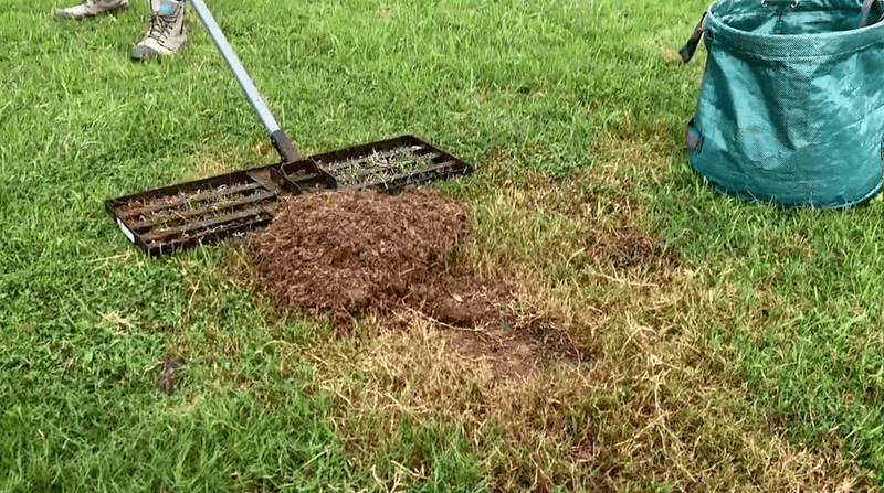 Topdressing fills shallow depressions, not raised ridges